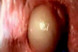 internal vagina sex 5 min